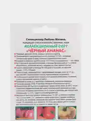 Семена Томат "Черный ананас" Мязина набор 1, 3, 5 уп