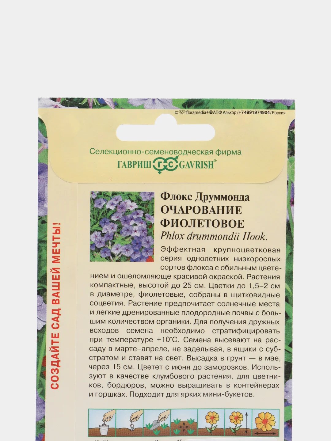 Семена Флокс Друммонда "Очарование фиолетовое" набор 1, 3, 5 уп