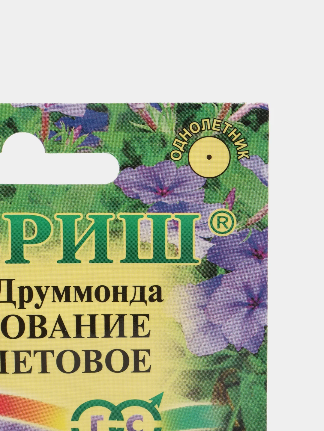 Семена Флокс Друммонда "Очарование фиолетовое" набор 1, 3, 5 уп