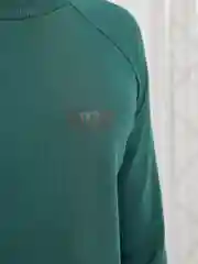Свитшот мужской ALGA