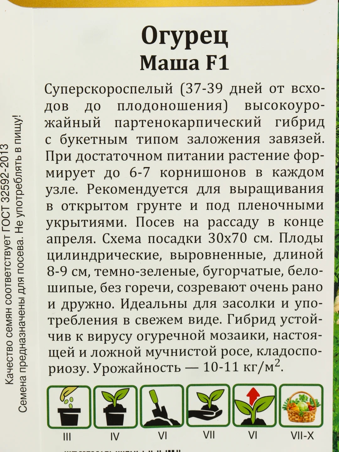 Семена Огурец "Маша F1"