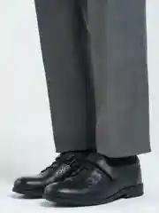 Туфли для мальчика, Ecco