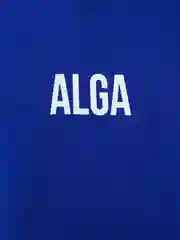 Синий футболка ALGA