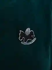 Коралловый брошь на одежду "Fashion Jewerly" / значек на одежду