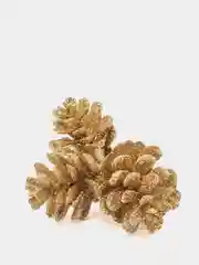 Золотой шишки с блестками