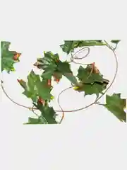 Искусственные цветы Лианы, настенная искусственная лиана, искусственные листья для декора