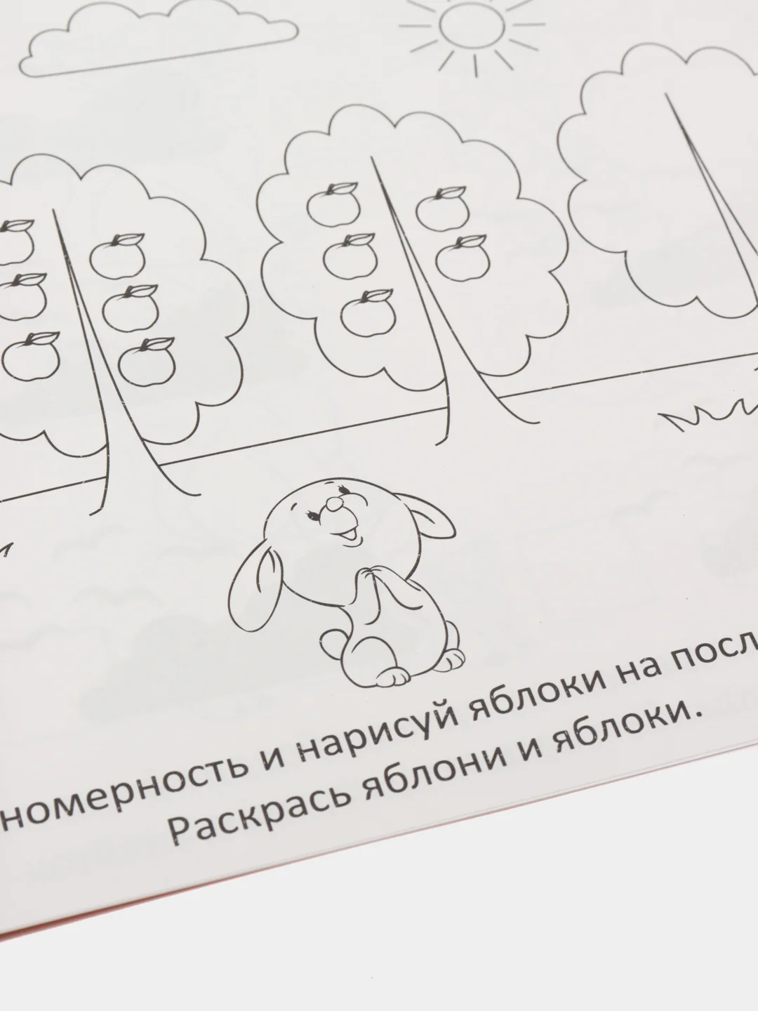 Прописи набор, 5-6 лет, набор 6 шт. по 20 стр