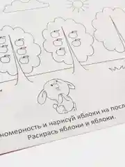 Прописи набор, 5-6 лет, набор 6 шт. по 20 стр