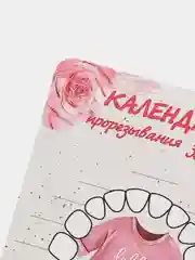 Коралловый меланж календарь прорезывания зубов