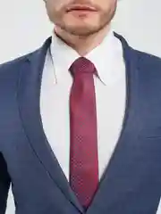 Вишнёвый галстук мужской