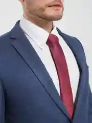 Вишнёвый галстук мужской