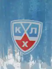 Кружка стеклянная "КХЛ", v=300 мл