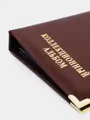 Багровый альбом для монет с 10 листами