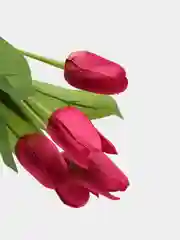 Вишнёвый искусственные цветы тюльпаны "Бантик"