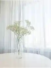 Белый тюль / Цвет-белый холодный/Тюль в гостиную/Тюль в спальню/Тюль для комнаты,270х300/270x500