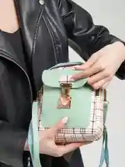 Ледяной сумка женская