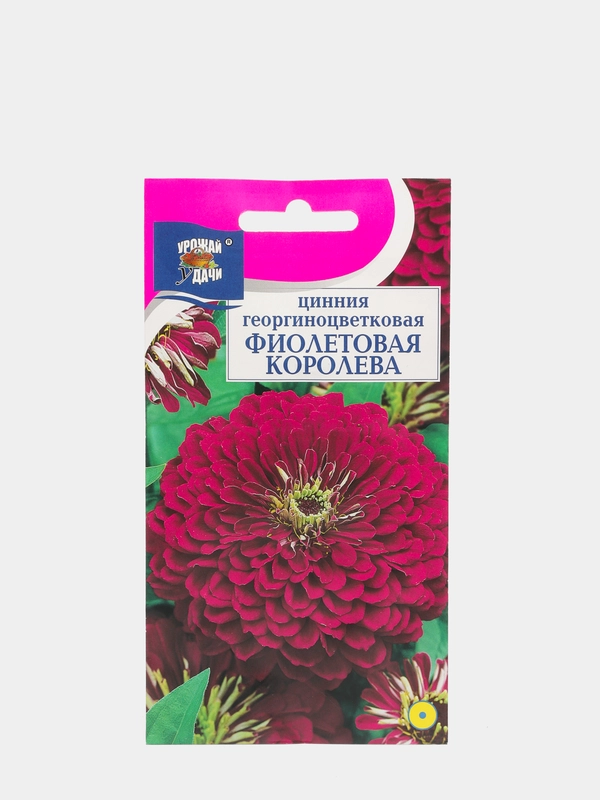 Семена цветов Цв Цинния георгин. "Фиолетовая королева", 0,3 гр