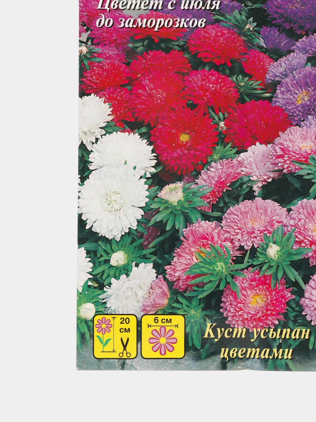 Семена цветов Астра Внученька, смесь карликовая, 0,1 г