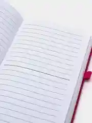 Фуксия ежедневник недатированный / Блокнот
