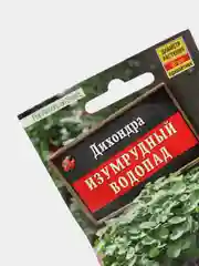Семена Дихондра "Изумрудный водопад" набор 1, 3, 5 уп
