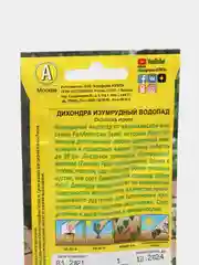 Семена Дихондра "Изумрудный водопад" набор 1, 3, 5 уп