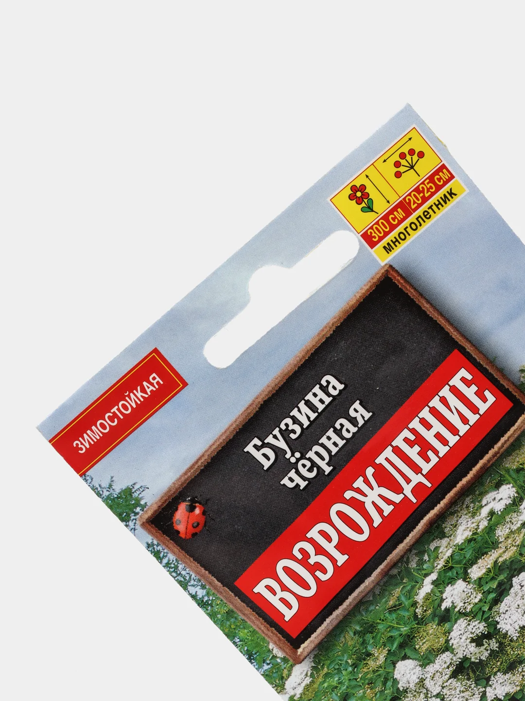 Семена Бузина черная Возрождение