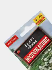 Семена Бузина черная Возрождение