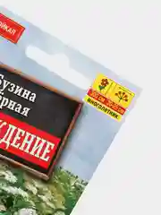 Семена Бузина черная Возрождение