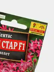 Семена Пентас "Лаки стар F1 виолет" набор 1, 3, 5 уп