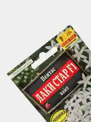 Семена Пентас Лаки стар F1 вайт