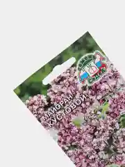 Семена Майоран кустовой набор 1, 3, 5 уп