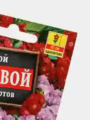 Семена Левкой "Кустовой" смесь сортов набор 1, 3, 5 уп
