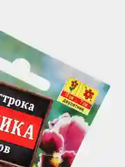 Семена Виола "Германика" смесь сортов (Анютины глазки) набор 1, 3, 5 уп