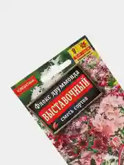 Семена Флокс смесь сортов "Выставочный" набор 1, 3, 5 уп