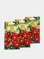 Семена Георгина "Лента красная" набор 1, 3, 5 уп