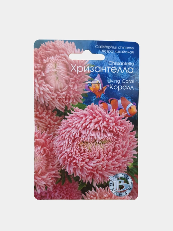 Семена Астра хризантелла "Коралл", Биотехника