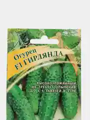 Семена, огурец "Гирлянда" раннеспелый
