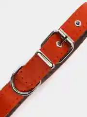 Оранжевый ошейник для собак из натуральной кожи с ватином