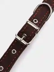 Карамельный ошейник для собак из натуральной кожи с ватином