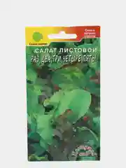 Салат листовой "1,2,3,4,5!"