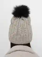 Шапка Salomon IVY Beanie Natural