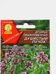Семена Душица (набор 2 уп) "Душистый пучок"
