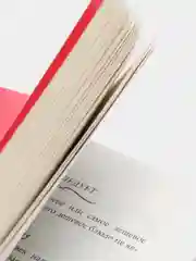 Этикет для юной леди. 50 правил, которые должна знать каждая девушка, Бриджес Д, Кертис Б