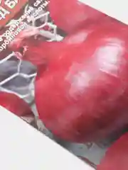 Семена Лук репчатый "Ред Барон"