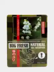 Ароматизатор BiG FRESH под сиденье авто, бордачок или домой / в офис