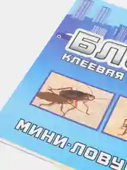 Клеевая ловушка от тараканов и домовых муравьев БЛОКБАСТЕР домик мини-ловушка 3 в 1