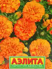 Семена Бархатцы низкорослые "Мандарин"