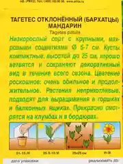 Семена Бархатцы низкорослые "Мандарин"