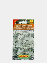 Семена Цинерария "Серебристо-снежная"