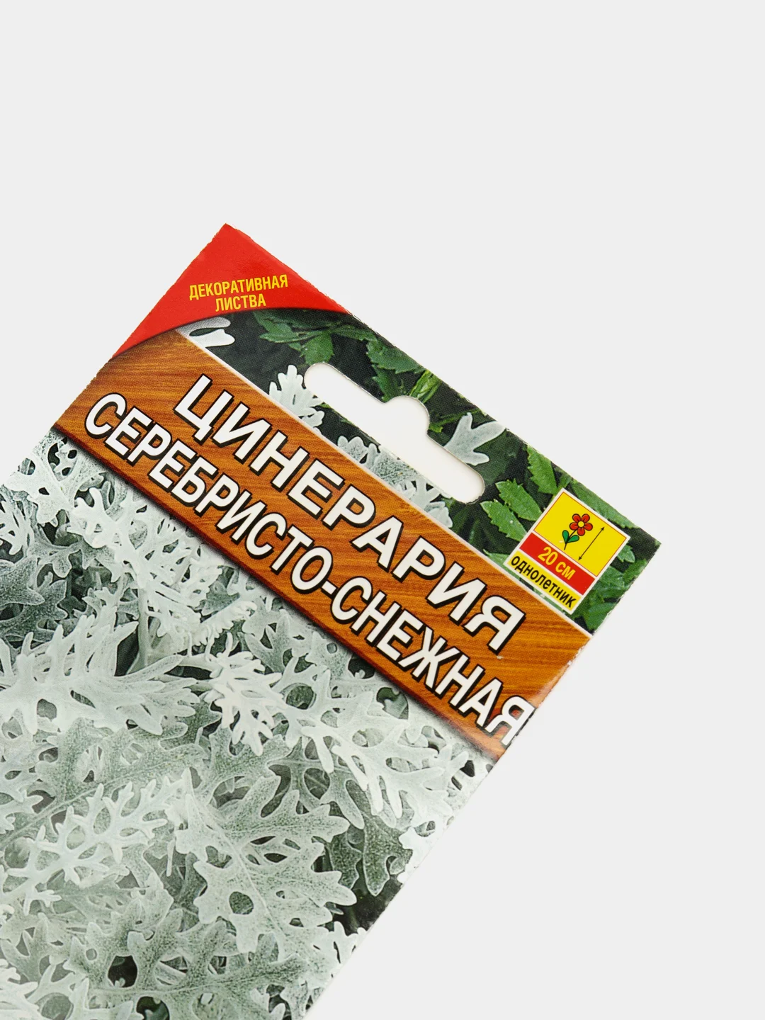 Семена Цинерария "Серебристо-снежная"